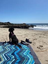 Leo carrillo state park campground has 135 campsites for tents, trailers and rvs (up to 31 feet) just a smidge inland from from the beach. Leo Carrillo State Park The Dyrt