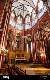 Image result for Dobera