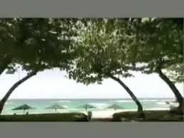 Celtic Pan Flute Pan Flute Com Youtube Pan Flute Flute Paradise
