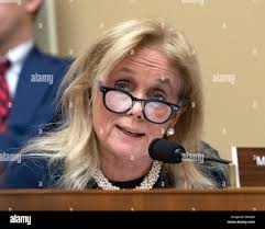 Debbie dingell hi-res stock photography and images