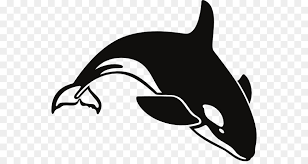 Whale Cartoon Png Download 600 472 Free Transparent Killer Whale Png Download Cleanpng Kisspng Orca cartoon 1 of 39. whale cartoon png download 600 472