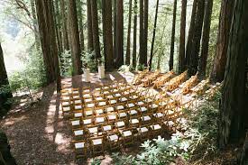 12 Redwood Wedding Venues In The Bay Area Redwood Wedding Venue Redwood Forest Wedding Redwood Wedding