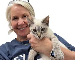 Friendly cat Sarge in Shallotte available for adoption