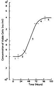 The bacterial cell cycle involves the formation of new cells through the replication of dna and partitioning of cellular components into two daughter cells. Typical Growth Curve Of Mammalian Cells Download Scientific Diagram
