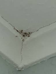 Below is a list of bugs from pest control. A Medley Of Bugs Pest Control 3703 Teakwood Ct Melbourne Fl Pest Control Mapquest
