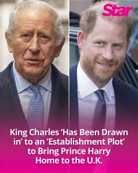 King Charles Caught in Alleged Plot to Bring Prince Harry Back Home
