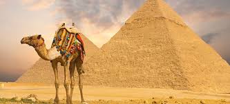Welcome to pyndan camel tracks, the only camel tour operator in alice springs. Escorted Tours Egypt 2021 Door2tour Com