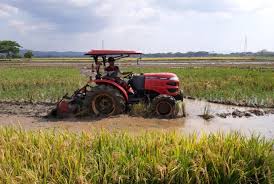 Maybe you would like to learn more about one of these? Pdb Kuartal Ii 2020 Sektor Pertanian Tumbuh Paling Tinggi Republika Online