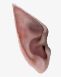 Bloxburg could be a game developed on the roblox platform by coeptus. Elf Ears Png Images Free Transparent Elf Ears Download Kindpng