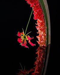 pin by kazuhiro sugimoto on いけばな flowers european designs design