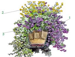 Hangepflanzen In Der Blumenampel Pflanzanleitung Blumen Ampel Hangepflanzen Pflanzen