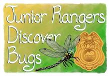 Junior Rangers Discover Bugs at Cathedral Caverns