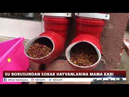 Su Borusundan Sokak Hayvanlarina Mama Kabi Youtube