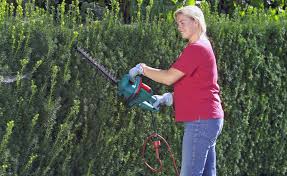 Sichtschutz Im Garten Hybrid Eibe Als Heckenpflanze Heckenpflanzen Sichtschutz Garten Eibe