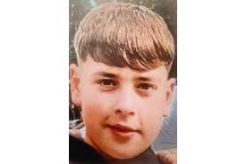 Llanuwchllyn harpist Elinor Bennett returns for historic harp performances 