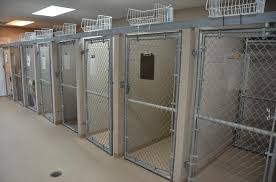 Maybe you would like to learn more about one of these? Family Pet Hospital Clarksville Tn