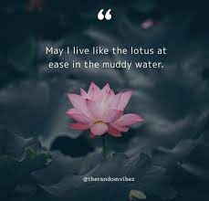 Enjoy our lotuses quotes collection. 70 Lotus Flower Quotes To Inspire New Beginnings