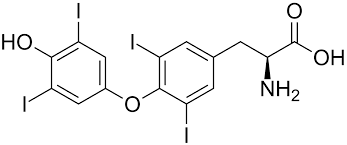 Thyroxin Wikipedia
