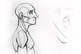 Ych Base Male Face Painting Pictures Images Pictures Images Clipart 46 Best Anime Male Base Images Drawing Base Anime Poses Tags niosh anthropometric digital headforms with base. ych