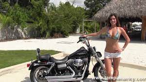 Used 2006 Harley Davidson Street Bob Motorcycle For Sale Price Youtube