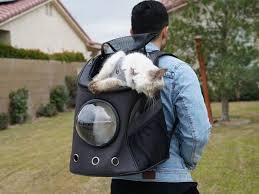 Texsens innovative traveller bubble backpack. The Fat Cat Cat Backpack Stacksocial