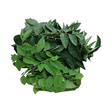 Salt, pepper to taste 10. Pucuk Manis 400g