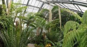 In der nähe der haltestelle botanischer garten, kiel in kiel finden sie folgende sehenswürdigkeiten: Gewachshauser Botanischer Garten Kiel