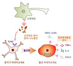센터 홈페이지 목록 레이어 닫기. ë³´ê±´íƒ€ìž„ì¦ˆ