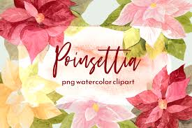 Download Christmas Poinsettia Watercolor Set Graphic By Roselocket Creative Fabrica SVG Cut Files