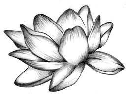 Maybe you would like to learn more about one of these? Disegni Fiori A Matita Fiori Disegnati A Matita Disegni A Carboncino E Disegno Fiori