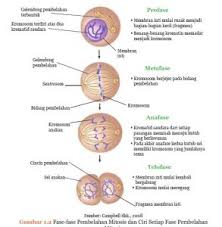 Rangkuman materi ini disusun berdasarkan materi yang bersumber dari buku bse ipa kelas 9 kurikulum k13 revisi. Rangkuman Materi Ipa Kelas 9 Bab 1 Portal Edukasi