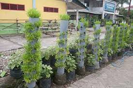 Ingin membuat kebun sayur di rumah? Agromedia Membangun Kebun Sayuran Mini Di Teras Rumah Menggunakan Vertikultur Agromedia