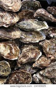 Fresh Raw Oysters On Street Market La Rochelle France Poster Id 24163025 In 2020 Raw Oysters Fresh Oysters Oysters