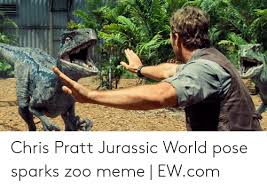 The former parks and recreation star has risen to worldwide fame in the past few years, and that pratt also has gotten a lot of attention via digital media, as jurassic world memes and gifs have inundated just about every corner of the internet. Chris Pratt Jurassic World Pose Sparks Zoo Meme Ewcom Chris Pratt Meme On Ballmemes Com