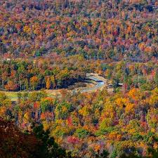This gem offers excellent hiking and, up at the top, a fantastic view! Pocono Mountains Visitors Bureau Peak Of The Week Big Pocono State Park Is A Great Spot To Take In The Stunning Fall Foliage Poconomtns Architpics Facebook