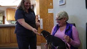 Whether you're a new client or already part of the st. Como Park Animal Hospital Investing In A Longer Healthier Life For Your Pet