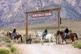 Leave the glitz of las vegas behind on a horseback riding tour through nevada's desert landscape. Cowboy Up Las Vegas Review Journal