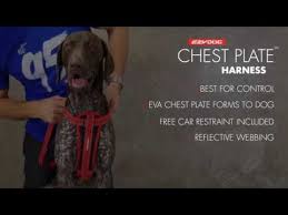 ezydog chest plate harness fitting guide