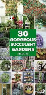 Find out how to make small succulent gardens that look amazing and take only a few minutes! 30 Captivating Backyard Succulent Gardens You Can Easily Diy Diy Crafts