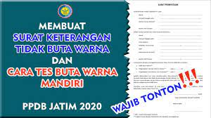 Seperti yang kita ketahui bahwa surat pernyataan sering digunakan untuk. Surat Pernyataan Tidak Buta Warna Dan Cara Tes Buta Warna Secara Mandiri Ppdb Jatim 2020 Youtube