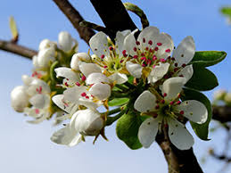 World autism awareness day falls on april 2 in 2020. Wetter Und Klima Deutscher Wetterdienst Presse Deutschlandwetter Im April 2018