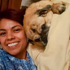 Bone broth helps reduce cough frequency in dogs