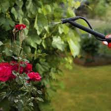 1370 east merced ave., merced, ca 95341. D D Pest Control Pest Control 870 Beechcraft Ave Merced Ca Phone Number Yelp