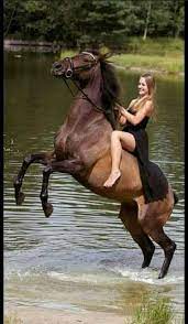 Elle peut galoper à quatre pattes et sauter les obstacles comme un équidé. Epingle Sur Femme Cheval