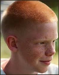 Ginger Boy With Buzzcut Mens Hairstyles Thick Hair Thick Hair Styles Red Hair Freckles