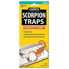 Scorpions are by far one of the scarier things you can kill with the terro scorpion killer spray, although there are other pests around the home to spray. Top 8 Best Scorpion Killer Sprays 2021 Review Pest Strategies