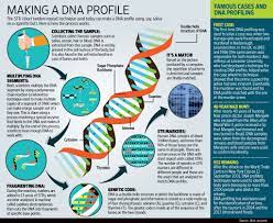 infographic on dna profiling designed for mint newspaper info graphic yatish asthana