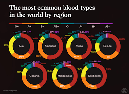 Image result for Blood Type