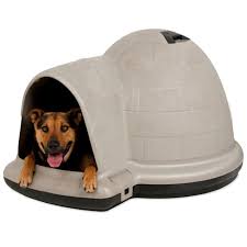 Frisco dog & cat igloo bed cave. Igloo Dog House Petmate Indigo Dog Home Dog Igloo Petco
