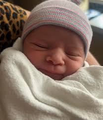 𝐆𝐚𝐯𝐞𝐧 𝐇𝐚𝐬𝐞𝐥𝐡𝐨𝐫𝐬𝐭™️ (@gaven_haselhorst) • Instagram photos  and videos